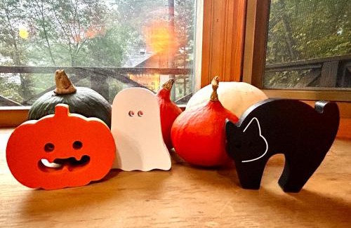 Tsumagoi House | Secret Base Mysa シークレットベース ミーサ 星の街399