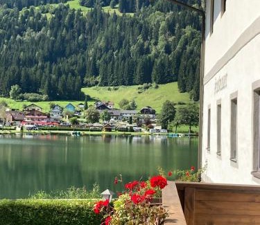 Feld am See Apartment | Seebrauer Wohnung 11