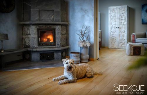 Sudrandweg Apartment | Seekoje - Haus Am Möhnesee