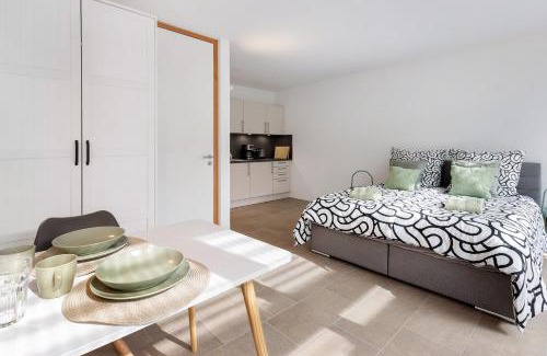 Ohningen Apartment | Seenahes Apartment c5 in Öhningen