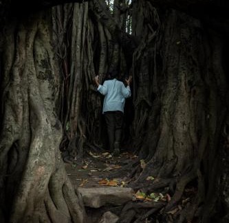 Chittur Hotel | Seethavanam Farmstay at Forest Edge