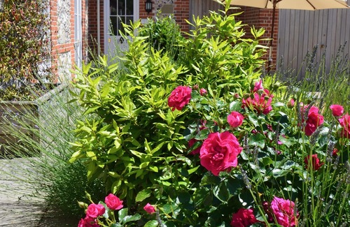 Winterbourne Earls Cottage | Self catering cottage near Salisbury & Stonehenge with fabulous pub opposite