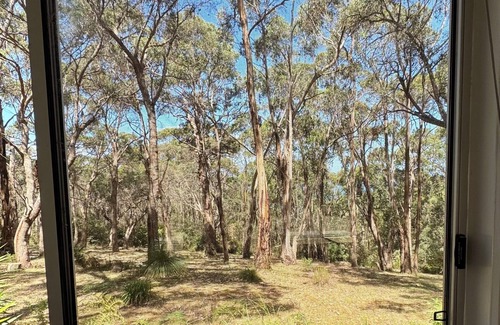 Lorne Cabin | Self-contained 1br unit on 11 acres of beautiful natural bush with ocean views.