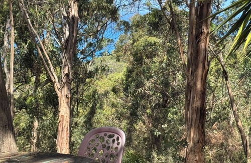 Lorne Cabin | Self-contained 1br unit on 11 acres of beautiful natural bush with ocean views.