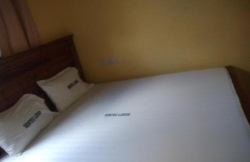 Dar es Salaam House | Senteu Lodge