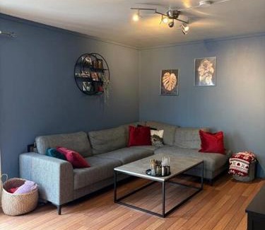 Rjukan House | Sentrumsnært hus