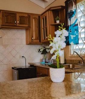 Greenwich Estate Apartment | Serene Artistry - Secure 1-BR Haven in Ocho Rios Jamaica