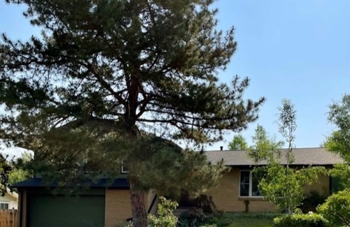 Castlewood House | Serene Rustic Haven, Huge Yard & Decks , ZenDen