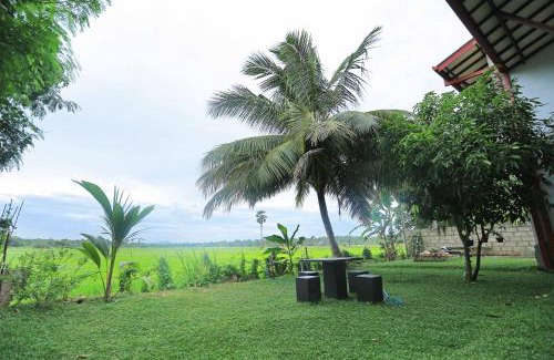 Anuradhapura House | Serene View Tourist Rest