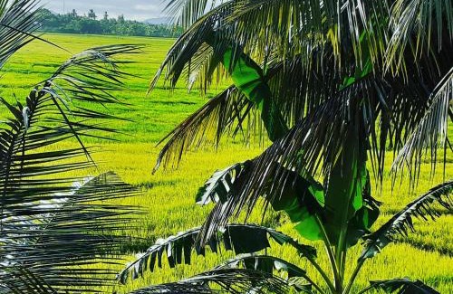 Anuradhapura House | Serene View Tourist Rest