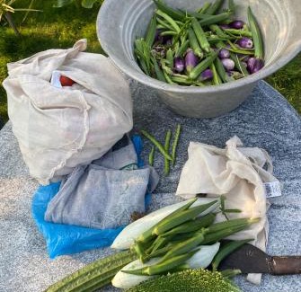 Kalpakkam Villa | Serenity Farms (Haripriya Garden)