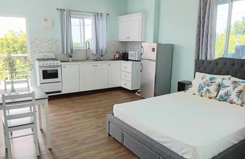 Anse La Raye Apartment | Serenity Seaview Suite