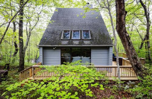 Chestnut Springs House | Serenity Slope with Wintergreen Advantage