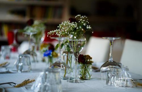 Noventa di Piave House | Settecentoalberi Agriturismo