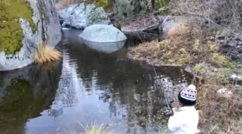 Miramonte House | Shady Creekside Cabin