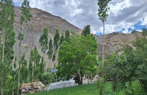 Tingmosgang Bed & Breakfast | Shanglang Guest House Ladakh by LexStays