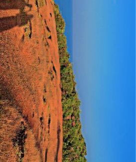 Inna House | SHATAJ HOME STAYS