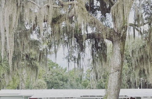 Satsuma RV Rental | Shell Harbour Resort Cabin #6