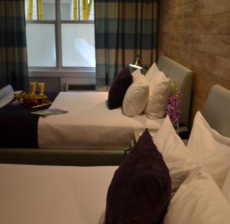 Flamingo/Lummus Hotel | Shelley Hotel