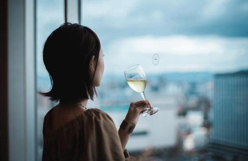 Hiroshima City Centre Hotel | Sheraton Grand Hiroshima Hotel