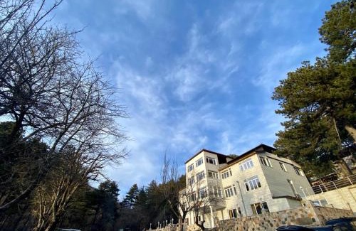 Cudhi Hotel | Shkreli Resort Qafeshtame