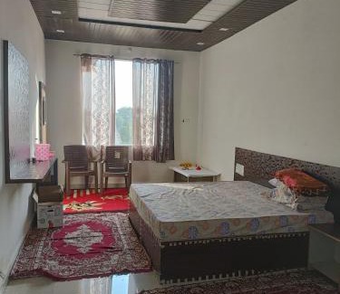 Mandalgarh Hotel | Shree jee resort