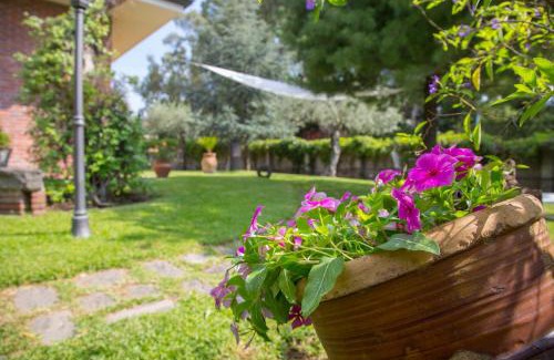 Mascalucia House | Sicily's View