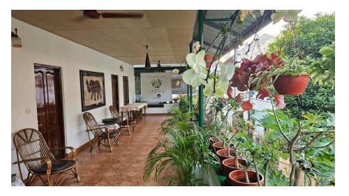 Thamaraparambu House | Silverweed homestay