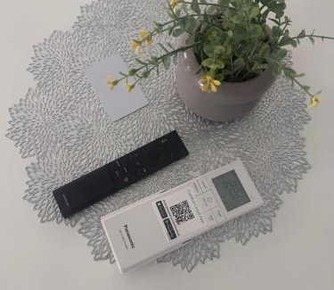Druskininkai Apartment | SILVIA apartment 101