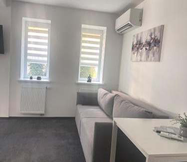 Druskininkai Apartment | SILVIA apartment 101