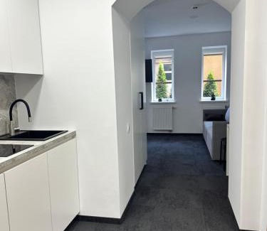 Druskininkai Apartment | SILVIA apartment 101