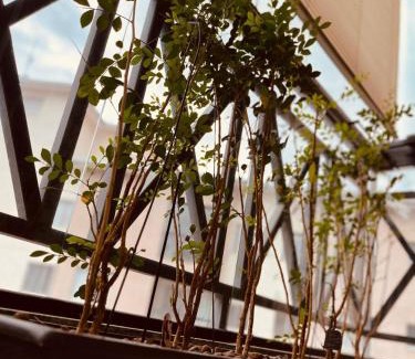 Cascata do Imbui Apartment | Simplicidade e conforto a dez minutos de Itaipava!