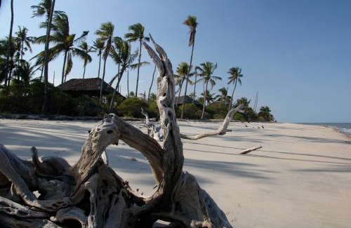 Tanga Other | Simply Saadani Camp, A Tent with a View Safaris