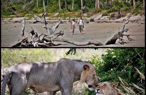 Tanga Other | Simply Saadani Camp, A Tent with a View Safaris