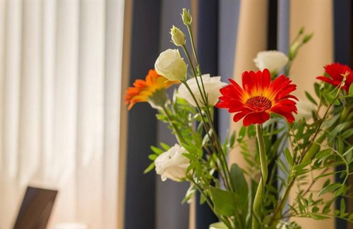 Leipziger Vorstadt House | Single room "3 = 2" - Hotel Novalis Dresden