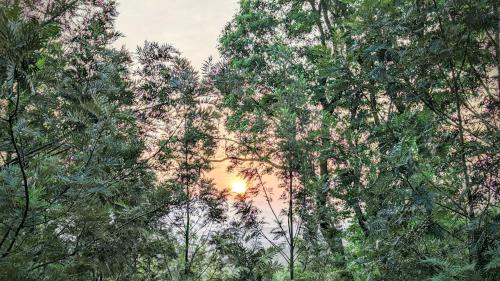 Tarikere House | Siri Serenity by Illika