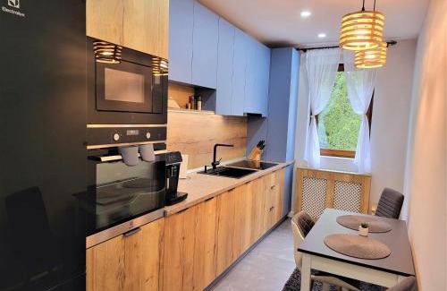 Busteni Apartment | Sirius Confort Kalinderu