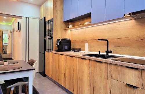 Busteni Apartment | Sirius Confort Kalinderu