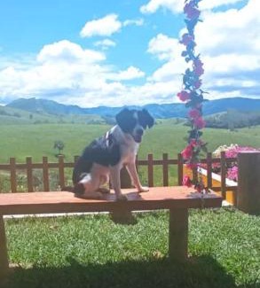 Silveiras House | Sitio Pinhal