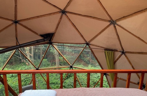 Ayder Cabin | sizi farklı bir jeodezik mimariyle doğanın içinde bırakıyoruz