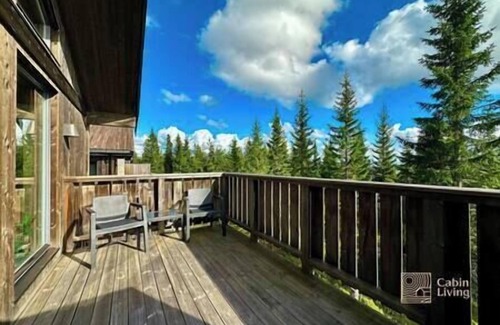 Al Municipality Apartment | Sjusjøen ski in/out, ski storage, Wifi, grill & EV-charger, modern apartment!