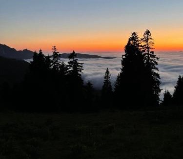 Khulo Villa | Skhveni