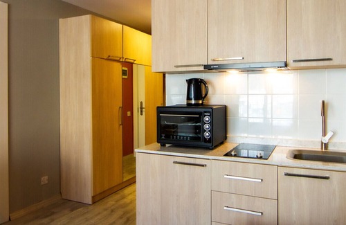 Kazbegi Apartment | Ski-in Ski-out Studio Apartment
