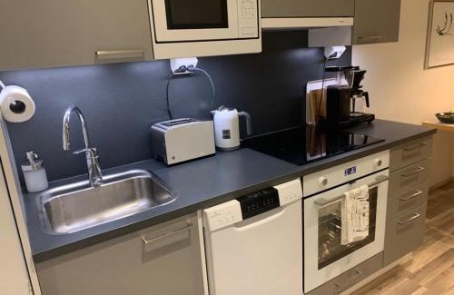 Pyhatunturi Apartment | Ski-Inn Huttu-Ukko