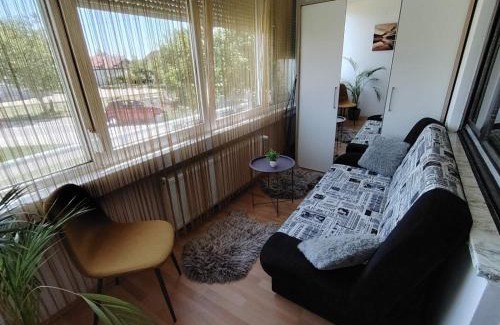 Koprivnica Apartment | Skitnica Gold