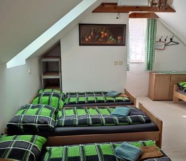 Mutenice Apartment | Sklípek pod vinohrady Mutěnice - rychlá WIFI