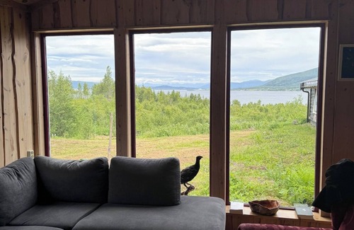 Lenvik Hostel | Skoghus