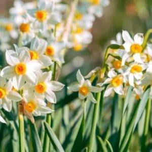 Fanari Apartment | Skoza farm house