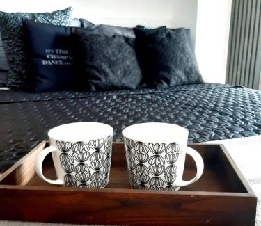 West Pomeranian Voivodeship Apartment | Sky View Apartment Szczecin Santocka