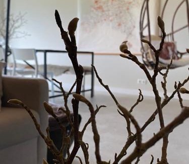 Chaam House | Slapen bij Uppruna